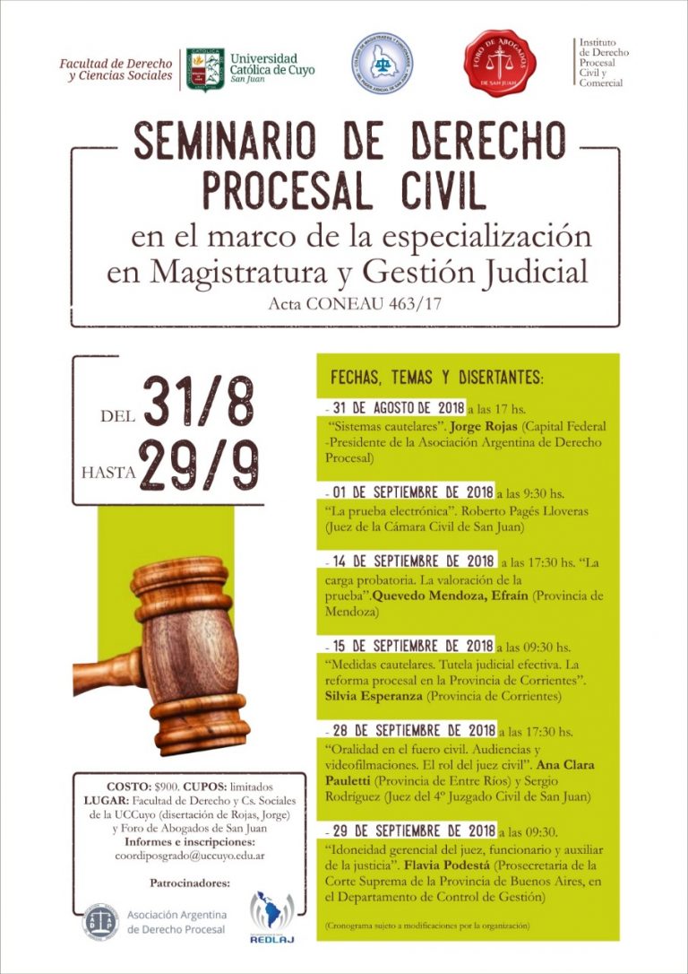 31/8 SEMINARIO DE DERECHO PROCESAL CIVIL