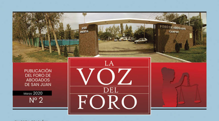 LEA AQUÍ LA EDICIÓN N° 2 DE LA VOZ DEL FORO
