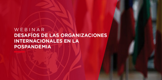 11/6: Webinar online: “Desafíos de las organizaciones internacionales en la pospandemia”