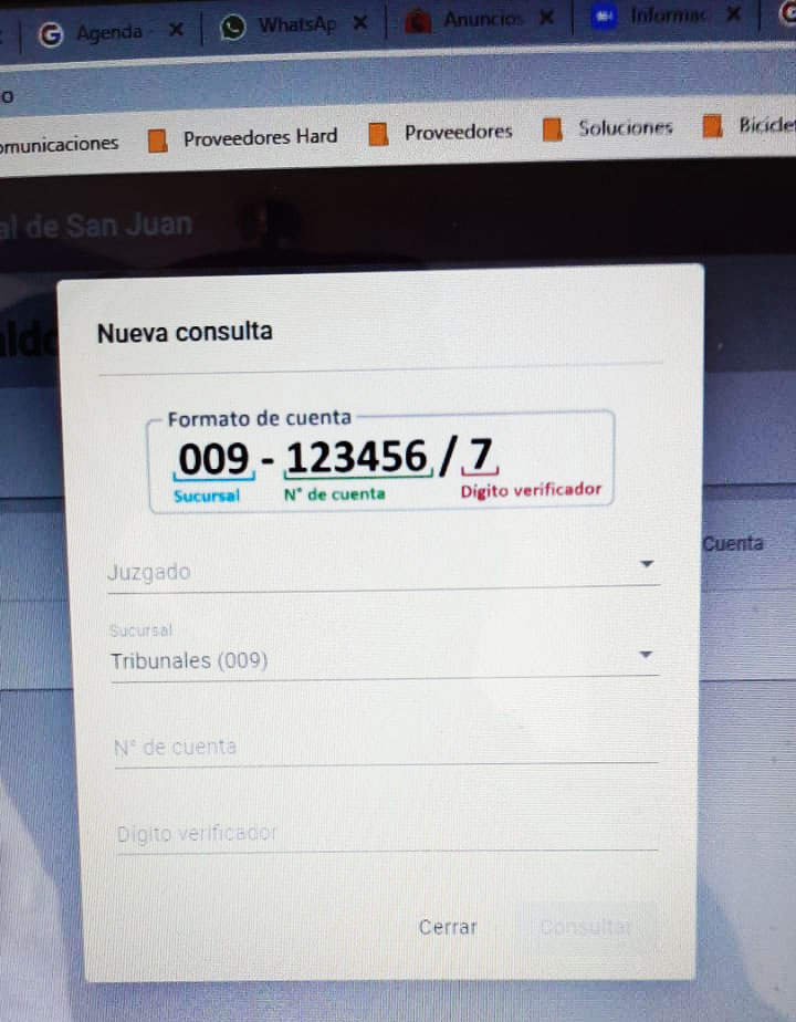 LOS SALDOS JUDICIALES YA PUEDEN SER CONSULTADOS ON LINE, A TRAVÉS DE LA MESA DE ENTRADA VIRTUAL.