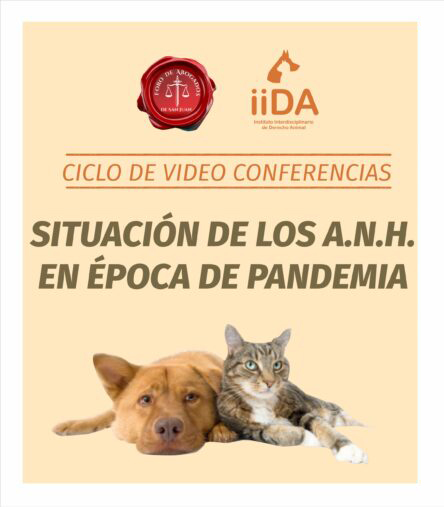 VER AQUÍ EL VIDEO “CICLO DE CONFERENCIAS SOBRE DERECHO ANIMAL”