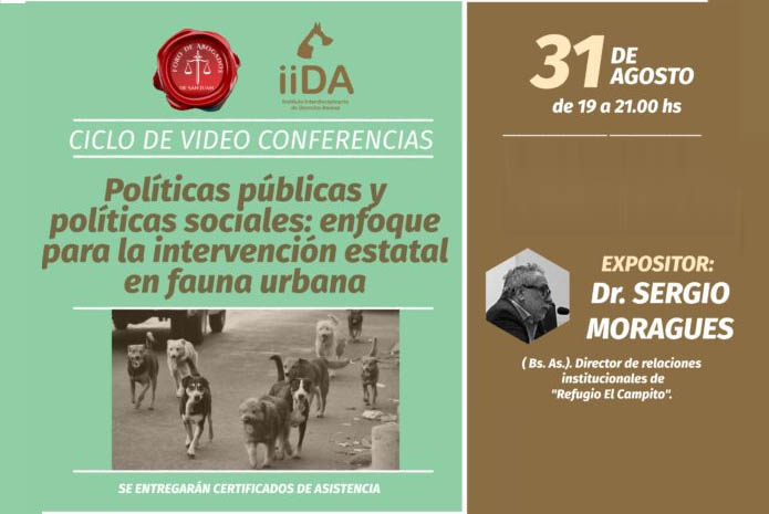 VER AQUÍ EL VÍDEO “POLÍTICAS PUBLICAS Y SOCIALES DE LA FAUNA URBANA”