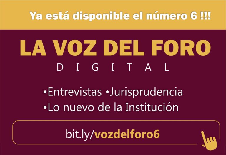 VER AQUÍ EL N°6 DE LA REVISTA VOZ DEL FORO DIGITAL