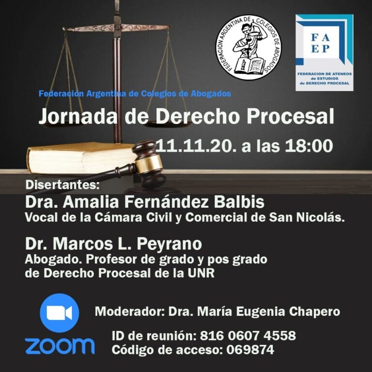 11/11/2020: JORNADA DE DERECHO PROCESAL