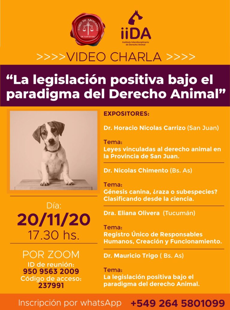 20/11: CHARLA DERECHO ANIMAL
