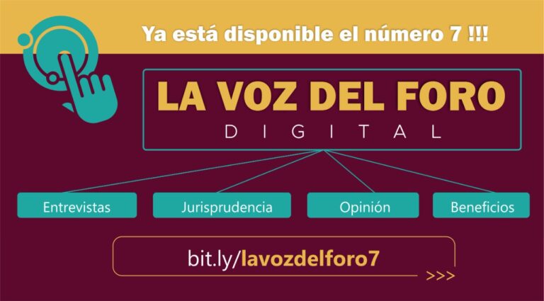 YA ESTA DISPONIBLE EL N° 7 DE LA REVISTA VOZ DEL FORO!!!