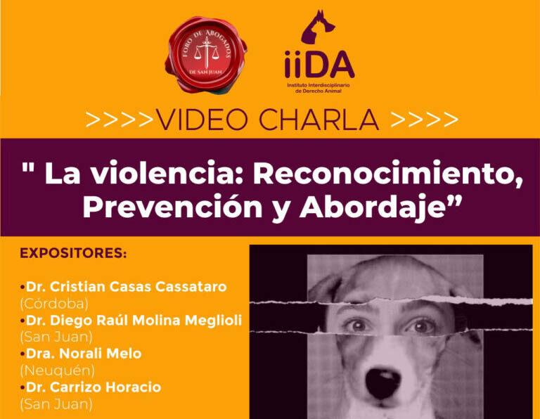 21/12/2020: “La violencia, reconocimiento, prevención y abordaje”