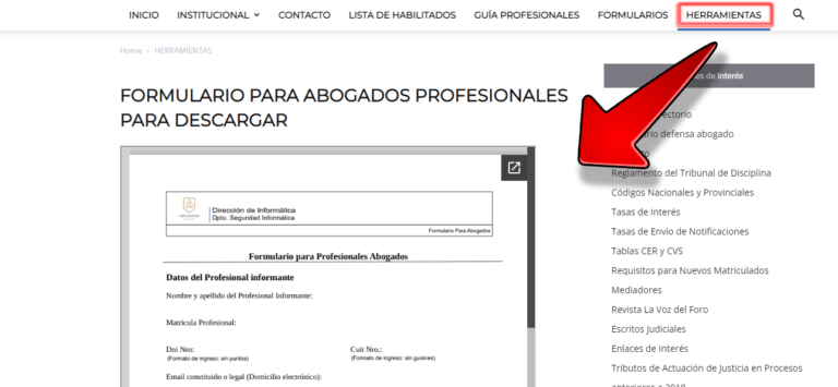 FORMULARIO PARA ABOGADOS PROFESIONALES PARA DESCARGAR