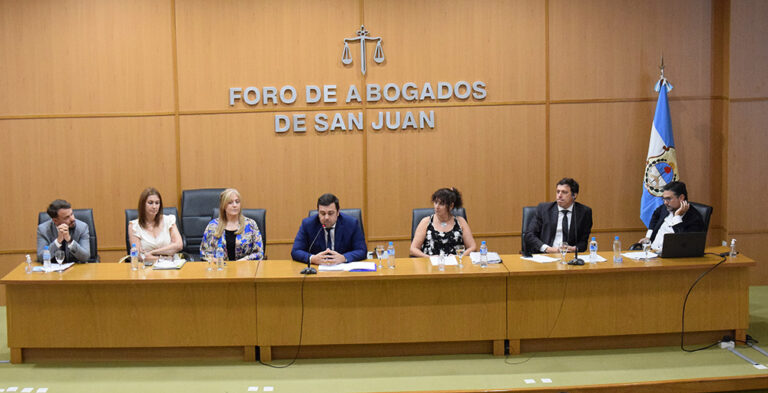 LA COMISIÓN REDACTORA EXPUSO SOBRE EL PROYECTO DE LEY DE HONORARIOS