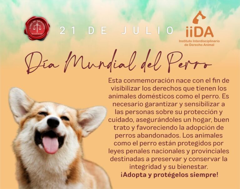 DÍA MUNDIAL DEL PERRO