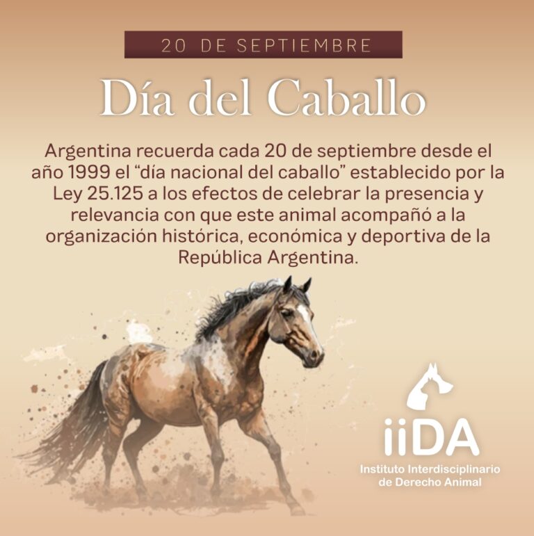 20 DE SEPTIEMBRE