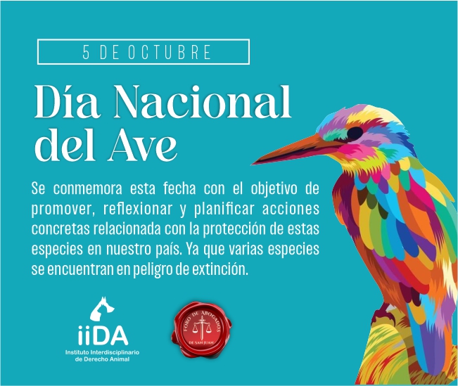 Instituto Derecho Animal