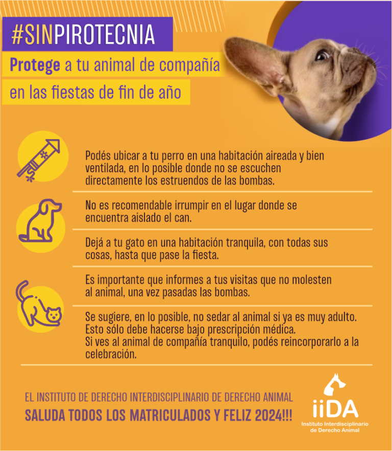 CONSEJOS DE FIN DE AÑO INSTITUTO DE DERECHO ANIMAL