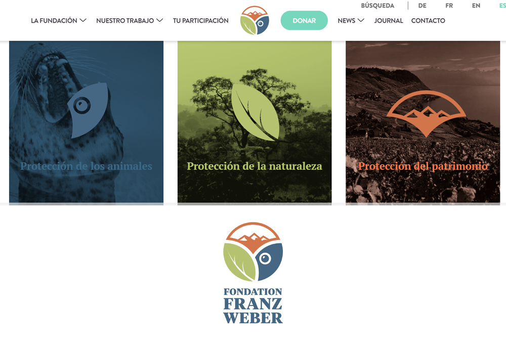 fundacion