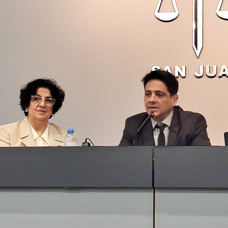 La Cuestión Malvinas en la Convención Constituyente de 1994: Reflexión a 30 Años de la Reforma Constitucional