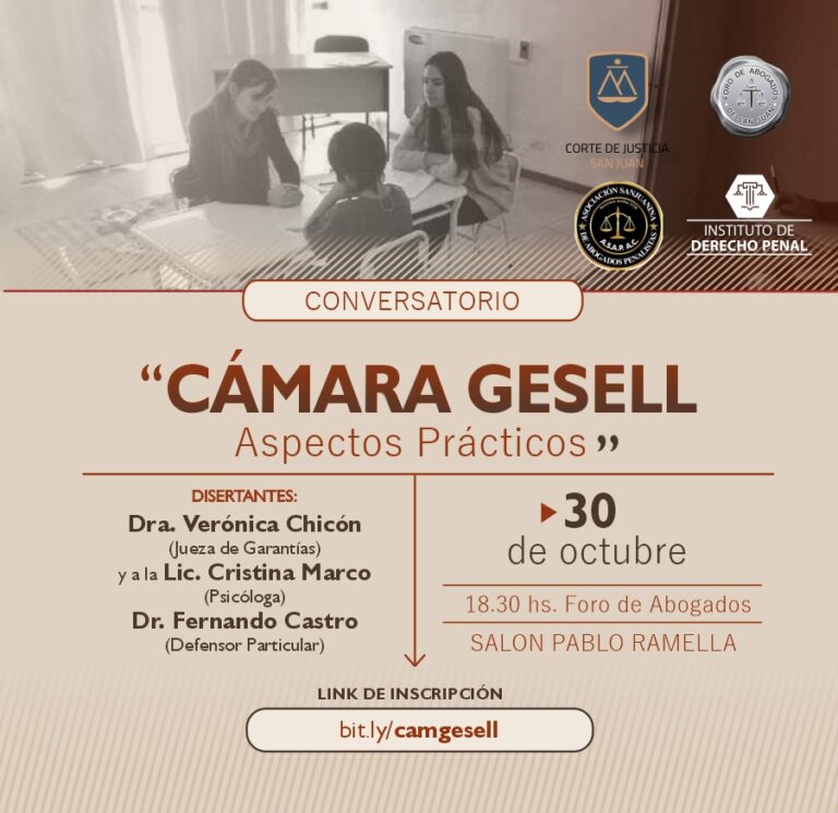 CHARLA SOBRE CÁMARA GESELL