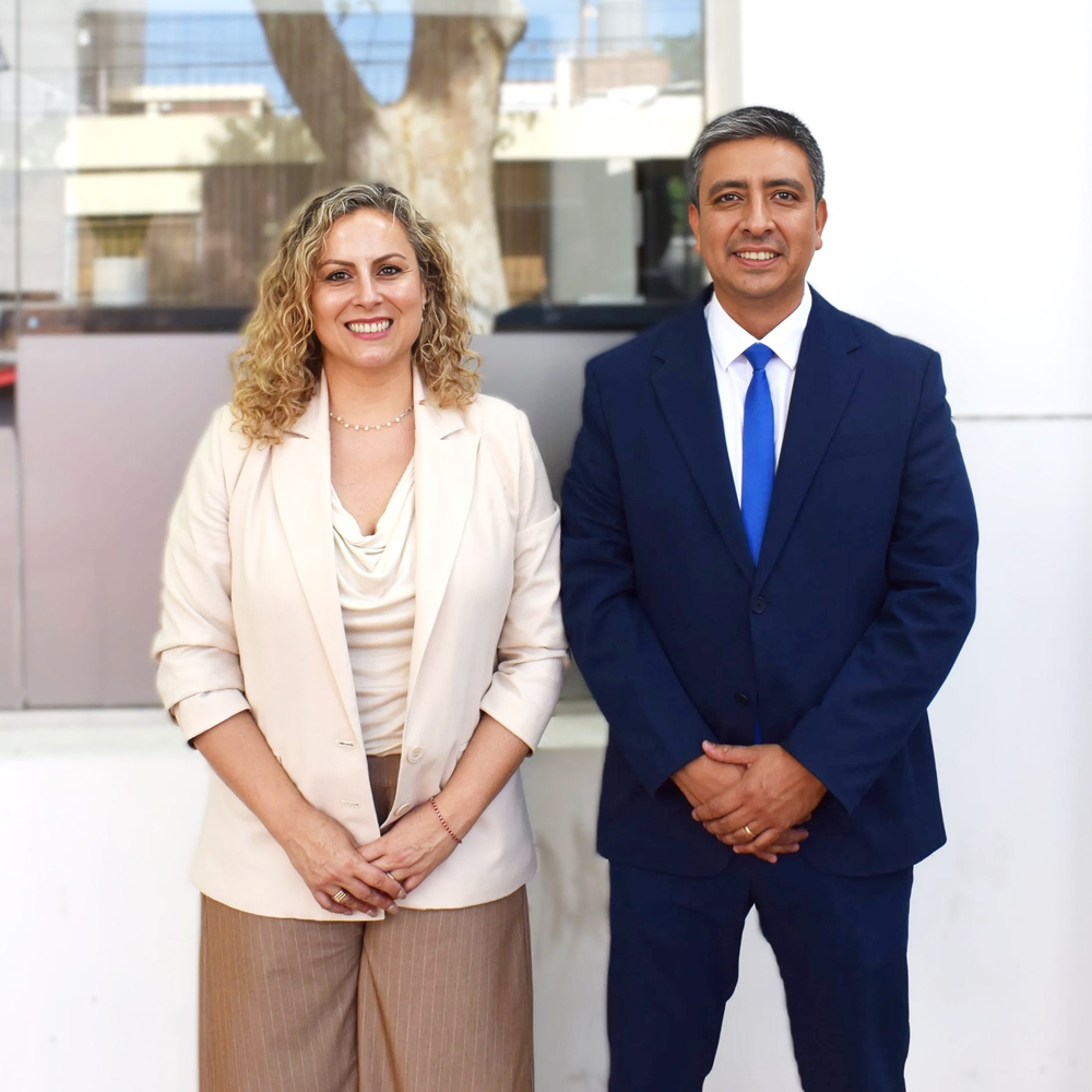 presidente y vice